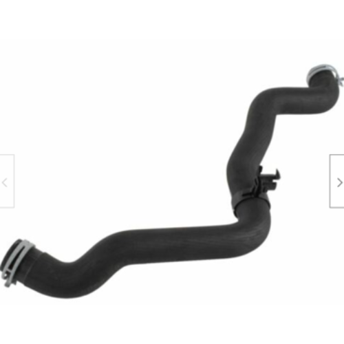 Lower Radiator Hose