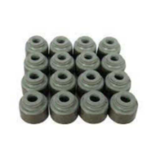 Valve Seal
