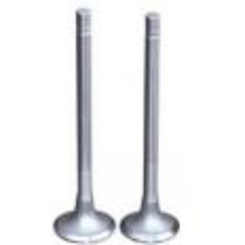 Intake/Outake Valve