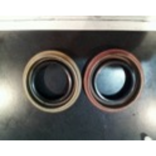 Oil Seal
